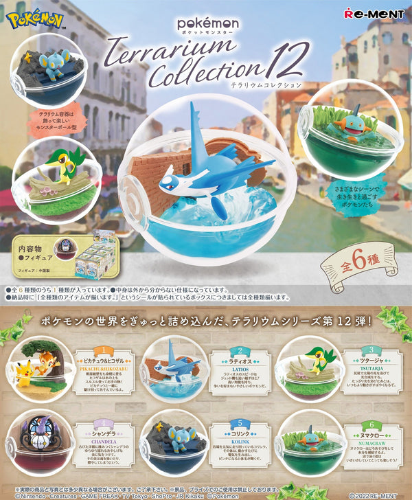 Pokemon Terrarium Collection #12 Mystery Box (1 of 6)