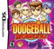 Super Dodgeball Brawlers - In-Box - Nintendo DS  Fair Game Video Games